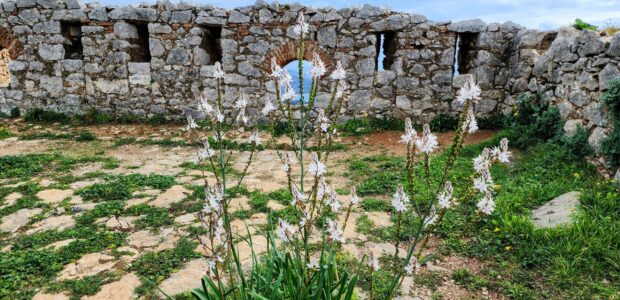 Real estate in Athens