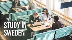 Pros and Cons of Studying in a Swedish University