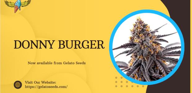 Donny Burger Strain