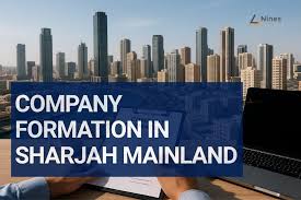 Civil License to an LLC in Sharjah