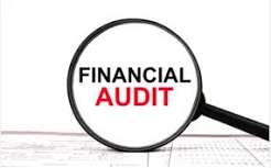 Annual Financial Audit