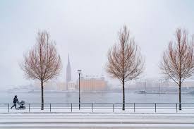 How to Stay Healthy During the Swedish Winter