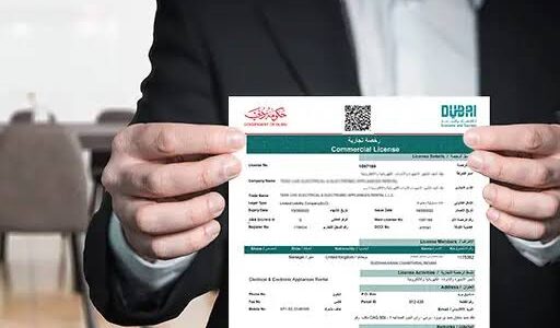 Professional License in Dubai