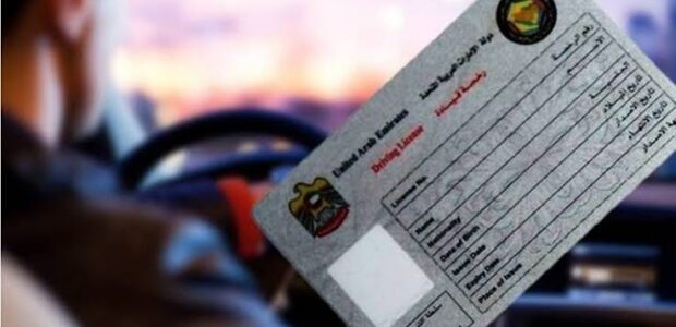Professional License in RAK