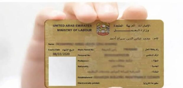 Labor Card Applications