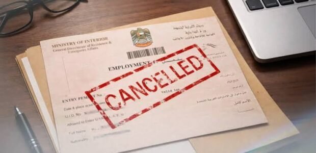 Cancel a Business License and Visa in the UAE