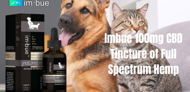 Hemp CBD Tincture for Pets