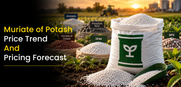Muriate of Potash Price Trend