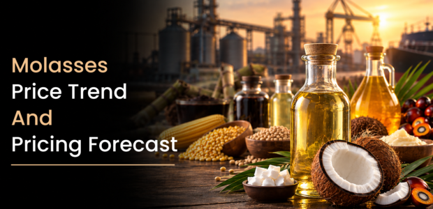 Molasses Price Trend