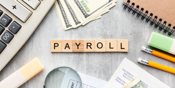 best payroll software lahore